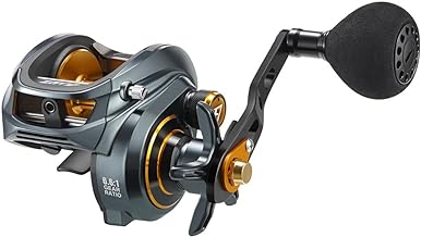 Best saltwater baitcast reels