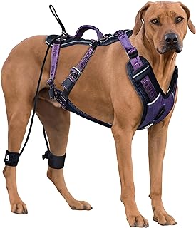 Best anti jump harness for dog