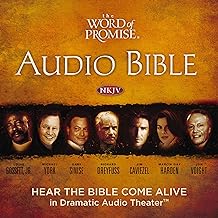 Best audio bibles