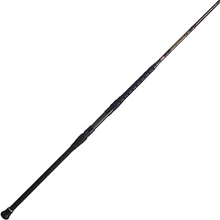 Best surf fishing rods