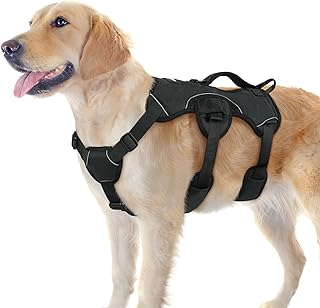 Best full body dog harness