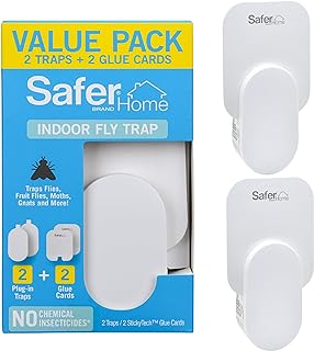 Best indoor fly killers