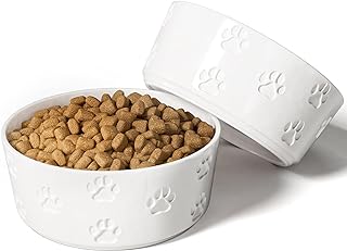 Best harmony dog bowls