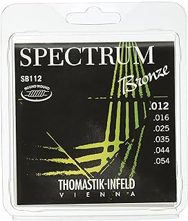 Best spectrum guitars