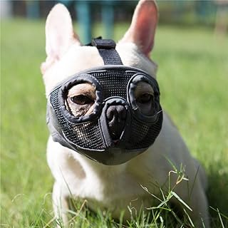 Best mask ideals for dog groomings