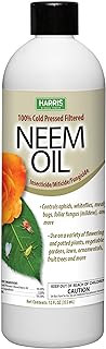 Best neem oils