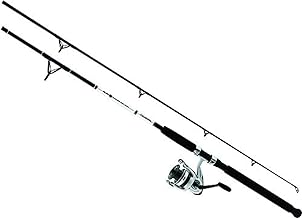 Best daiwa saltwater fishing rods