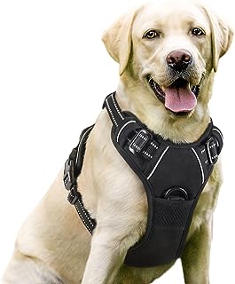 Best no pull dog harnesses